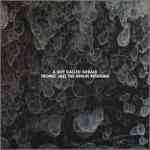 A Guy Called Gerald Unofficial Web Page - Album Review: Tronic Jazz The Berlin Sessions