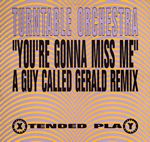 Turntable Orchestra - You're Gonna Miss Me